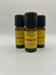 Podzimní mlha - tajemná vůně lesa zahaleného mlhou